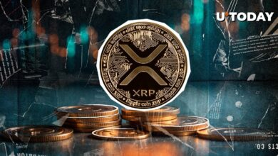XRP دوباره شروع به انتقال به  می کند