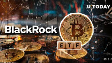 بلک راک بیت‌کوین ETF در 2 روز 0 جریان داشت، چه اتفاقی می‌افتد؟