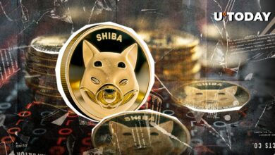 آیا 76 تریلیون SHIB می تواند شیبا اینو را از تصادف نجات دهد؟