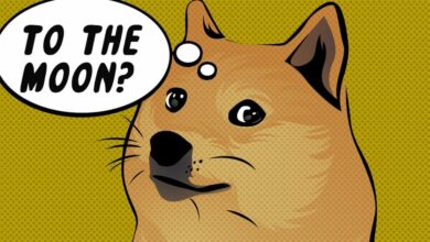 DOGE Memecoin 100٪ افزایش یافت زیرا معامله گران رابطه قوی ایلان ماسک با رئیس جمهور منتخب ترامپ را تحسین می کنند.