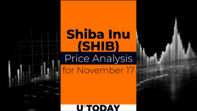 17 نوامبر پیش بینی قیمت SHIB