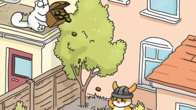 توکن CAT به سولانا گسترش می یابد و حرکت صعودی بلند مدت را تنظیم می کند