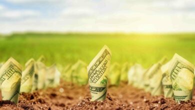 آیا بیت کوین روی زمین لرزان است؟ سیگنال های بازار منعکس کننده الگویی است که آخرین افت سهام رسانه های ترامپ را پیش بینی می کرد.