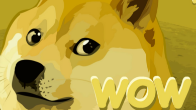 در حالی که معاملات مرتبط با ایلان ماسک همچنان به سود خود ادامه می دهند، دوج کوین XRP را تغییر می دهد