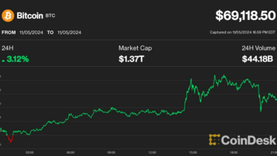 بیت کوین به دلیل نگرانی از انتخابات ایالات متحده تسلیم شد باعث نوسانات کریپتو می شود