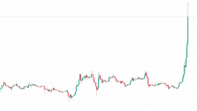 XRP از ۱ دلار فراتر رفت زیرا SEC با مشکلات قانونی و تغییرات نظارتی مطلوب روبرو شد