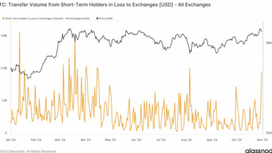 افت بیت کوین در روز پنجشنبه باعث وحشت در میان دارندگان کوتاه مدت شد: Van Straten