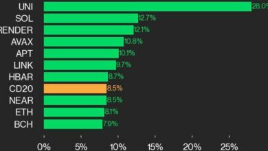به روز رسانی عملکرد CoinDesk 20: Uniswap افزایش ۲۸ درصدی به دلیل افزایش قیمت تمام اجزای شاخص پس از انتخابات