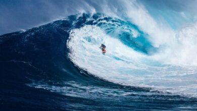 بیت کوین در جریان معاملات وحشیانه به بالای ۸۹۰۰۰ دلار رسید که بر گاوها و خرس ها تأثیر گذاشت.