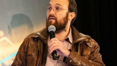 ADA کاردانو ۳۵ درصد افزایش می یابد زیرا هاسکینسون می گوید که به سیاست رمزنگاری ایالات متحده کمک می کند