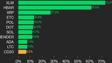 به‌روزرسانی عملکرد CoinDesk 20: XLM در آخر هفته ۷۳.۲ درصد افزایش یافت