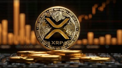 XRP در میان افزایش بی امان از BNB بهتر عمل می کند