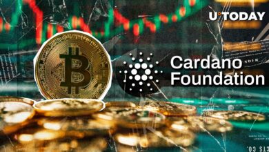 بنیاد کاردانو چقدر بیت کوین (BTC) نگه می دارد: گزارش