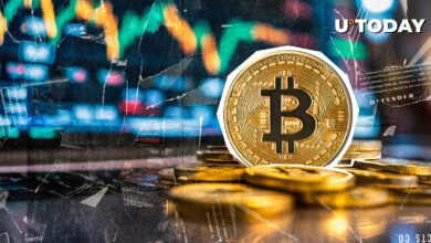 نهنگ بیت کوین عصر ساتوشی بیت استمپ را با سود 1,712,099 درصد شگفت زده کرد