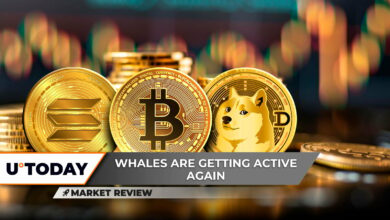 Dogecoin (DOGE) ریپل 1 دلاری را شروع می کند، مشکل بیت کوین (BTC) در 100000 دلار: جزئیات، Solana (SOL) در 3 روز آزمایش می شود