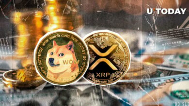 Dogecoin (DOGE) و XRP Shine با انحلال ارزهای دیجیتال به 493 میلیون دلار رسید