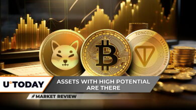 Shiba Inu (SHIB) ایمن برای انتشار: بعدی چیست؟ آیا Toncoin (TON) در کنار بیت کوین (BTC) سیگنال مخفی ارائه می کند؟