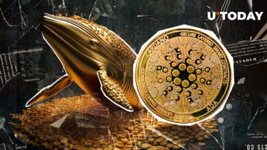 میلیونرهای Cardano (ADA) شروع به خرید 130 میلیون دلاری Epic کردند