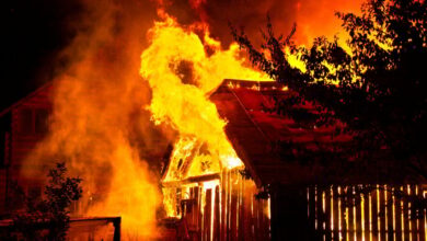 بازی تلگرام W-Coin Airdrop قاعده سخت گیرانه ای برای عدم اقدام – رمزگشایی – معرفی کرده است