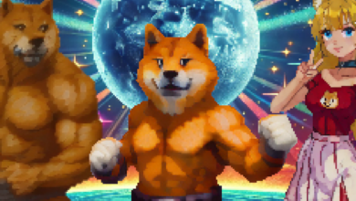بازی با Doge: 7 بازی که دارای میم Dogecoin Puppy – Decipher است