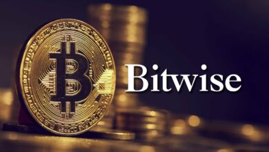 به گفته مدیرعامل Bitwise، سال ۲۰۲۵ ممکن است سالی برای پذیرش بیت کوین سازمانی باشد.
