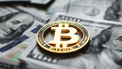 بیت کوین هنوز توسط اکثر مدیران مالی به عنوان یک دارایی بسیار سوداگرانه تلقی می شود