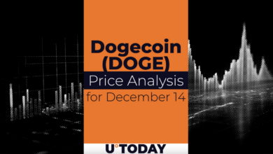 ۱۴ دسامبر پیش بینی قیمت DOGE