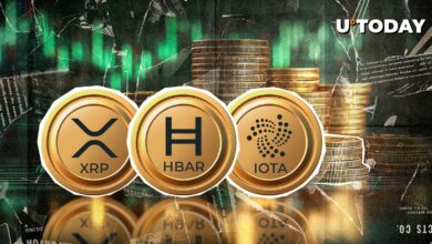 500 میلیون دلار انحلال برنده Chaos Crowns XRP، HBAR و IOTA به عنوان برندگان برتر
