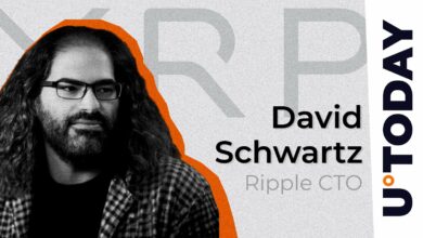 مرکزی یا منحصر به فرد؟ مدیر ارشد فناوری Ripple از طراحی XRP در برابر انتقاد دفاع می کند
