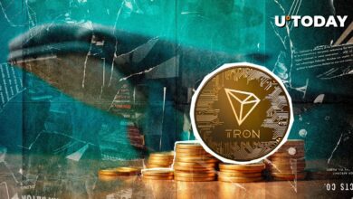 قیمت Tron (TRX) در فعالیت‌های نهنگ با وجود فروش 929٪ افزایش یافت