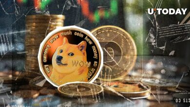 Dogecoin (DOGE) در یازدهمین سال خود: جزئیات