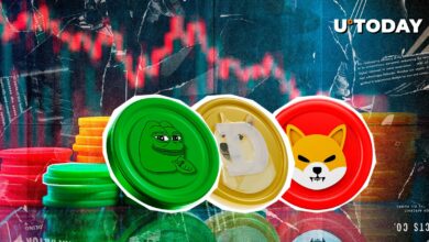 بهترین Meme Cryptos PEPE، DOGE، SHIB تیره قرمز