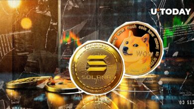 سولانا، شرکت کننده Dogecoin، بهترین کیف پول خود را جستجو کرد، چرا