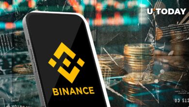 بایننس چهار لیست جدید با تمرکز بر هوش مصنوعی، Meme Coin و Solana را اعلام کرد.