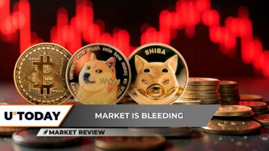 بیت کوین (BTC): 100000 دلار فراموش نشد، Dogecoin (DOGE) گم شد، شیبا اینو (SHIB) پاییز فاجعه بار: بعدی چیست؟