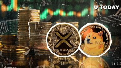 XRP و Dogecoin (DOGE) هنوز در حال افزایش هستند: معیارهای کلیدی