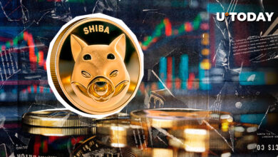 تیم SHIB معتقد است SHIB در مسیر رسیدن به $۰.۰۰۰۰۸۱ به علاوه ۱۸۰٪ است