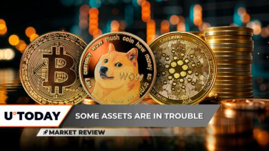 بیت کوین (BTC) در ۱۰۰۰۰۰ دلار: بعد چه می شود؟ Dogecoin (DOGE) با شکست بدی روبرو شد، آیا کاردانو (ADA) آماده تسلط است؟