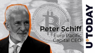 پیتر شیف: باید بیت کوین (BTC) را غیرفعال کنیم