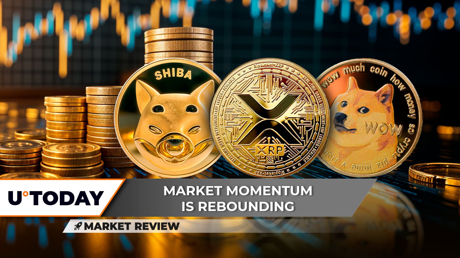 Shiba Inu (SHIB) پشتیبانی عمده را از دست می دهد، الگوی صعودی XRP نامعتبر است، Dogecoin (DOGE) به سطح پشتیبانی اصلی می رسد