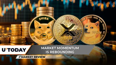 XRP به سطح پشتیبانی قوی می رسد، آیا ۹۳۰۰۰ دلار بعدی برای بیت کوین (BTC) است؟ آیا رویای ۱ دلاری Dogecoin (DOGE) به پایان رسیده است؟