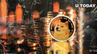 Dogecoin (DOGE) 40٪ از اوج خود را از دست داد: بعدی چیست؟