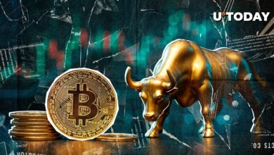 معامله گر خبره پیش بینی می کند که گاوهای بیت کوین (BTC) چه زمانی برای زنده ماندن تلاش خواهند کرد