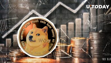 Dogecoin (DOGE) 12٪ افزایش یافته است، داده ها رالی بیشتری را در پیش رو نشان می دهد