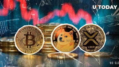 BTC، DOGE و XRP در کانون توجه به دلیل انحلال کریپتو به ۲۴۰ میلیون دلار سقوط کردند.