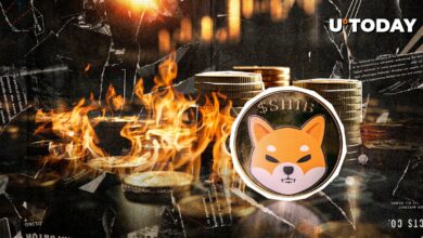 SHIB با چرخش غیرمنتظره قیمت می سوزد