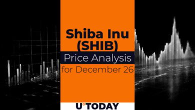 ۲۶ دسامبر پیش بینی قیمت SHIB