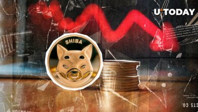 آیا شیبا اینو (SHIB) به پایین رسیده است؟ ۵۰% فلش معکوس در افق