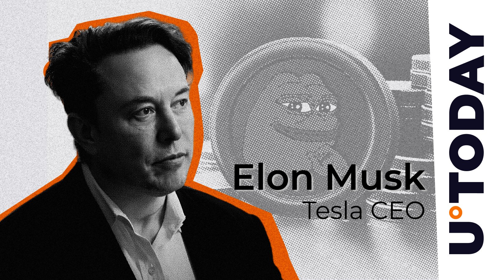 ایلان ماسک با انتخاب نام جدید X و آواتار با مضمون PEPE در جامعه هیجان ایجاد می کند.