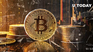 بیت کوین دیوانه وار بورس ها را ترک می کند. برج ثور؟